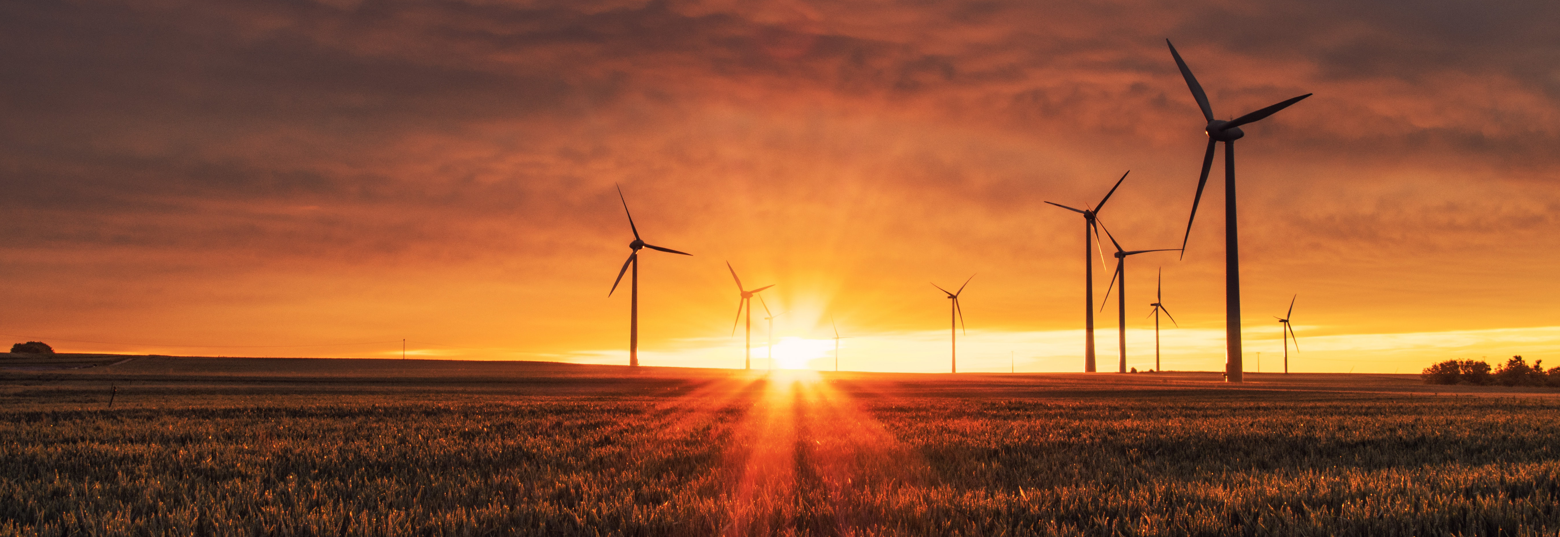 Joining forces to help people and the planet