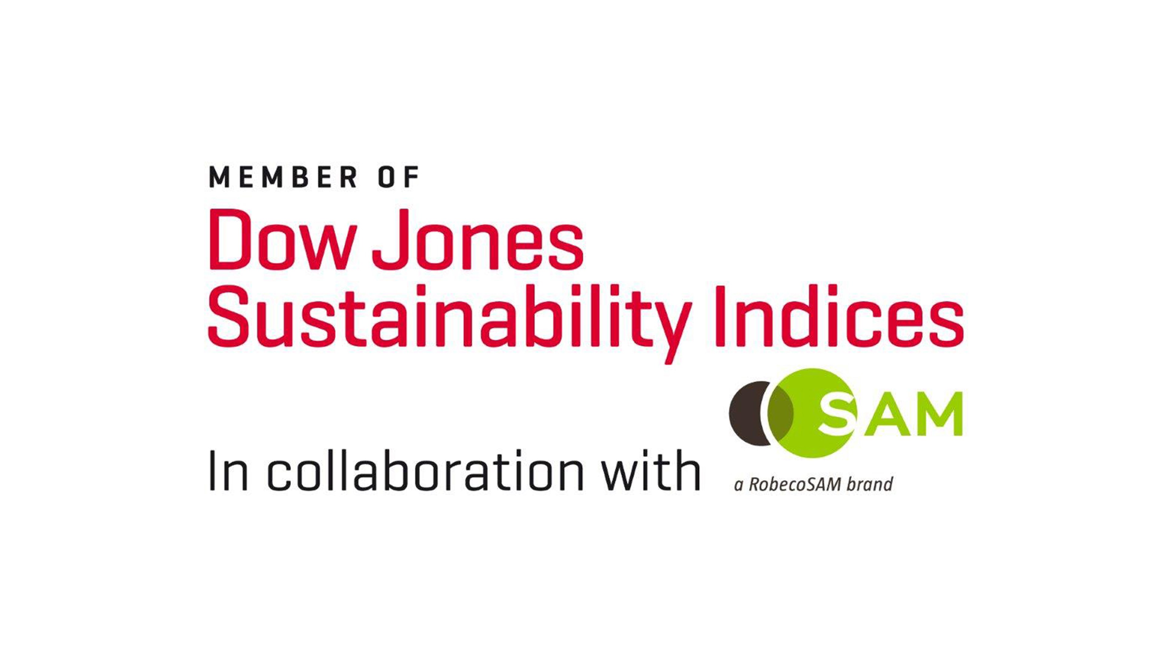 Dow Jones Sustainability Indices logo