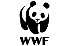 WWF logo