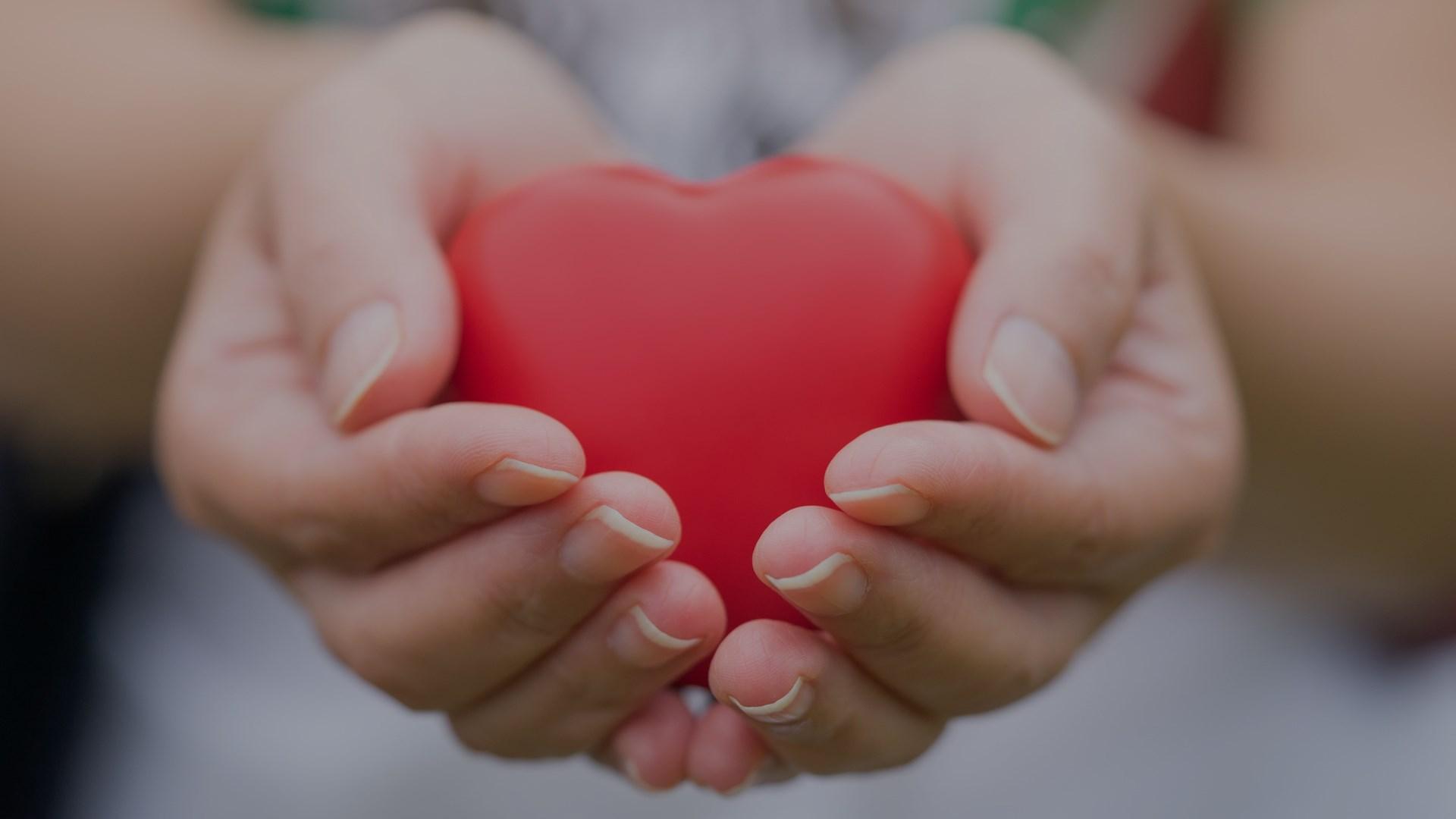 A woman's hand holding a heart.