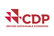 CDP logo