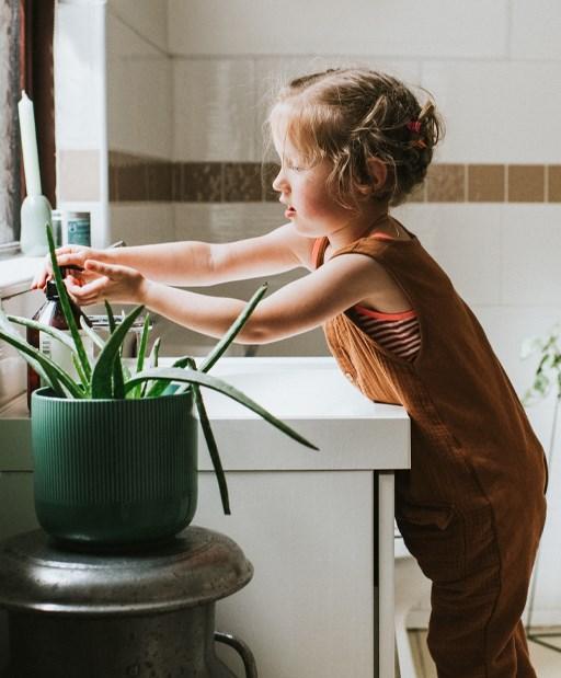Cute little girl washing her hands at a bathroom sink, in a stylish home environment. Aloe Vera plant in foreground and liquid soap and chrome tap featured. Little girl is confident and content.