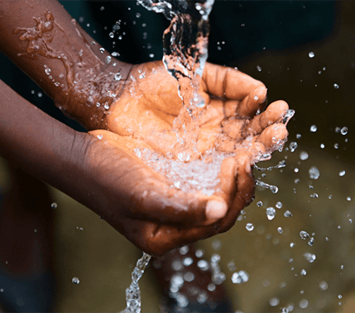 Water Org (1)