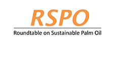 Roundtable on Sustainable Palm Oil logo